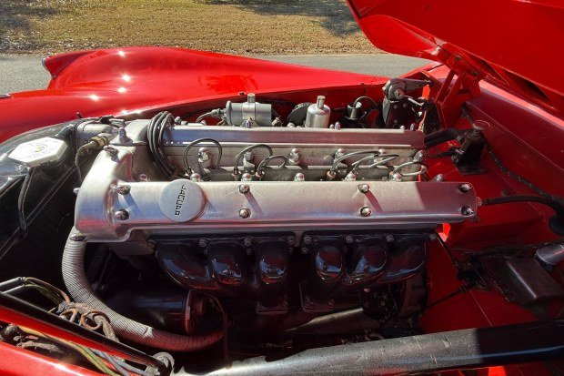 1954 Jaguar XK120 SE Roadster photo 6