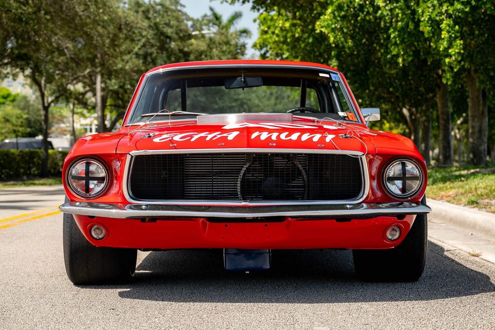 302-Powered 1967 Ford Mustang Coupe Holman-Moody FIA-Spec Race Car photo 2