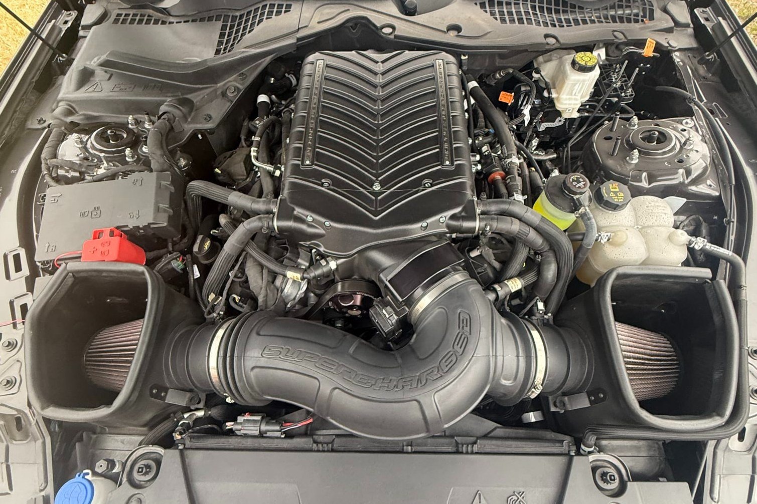 Supercharged, 6k-Mile 2024 Ford Mustang GT Premium Fastback 6-Speed photo 6