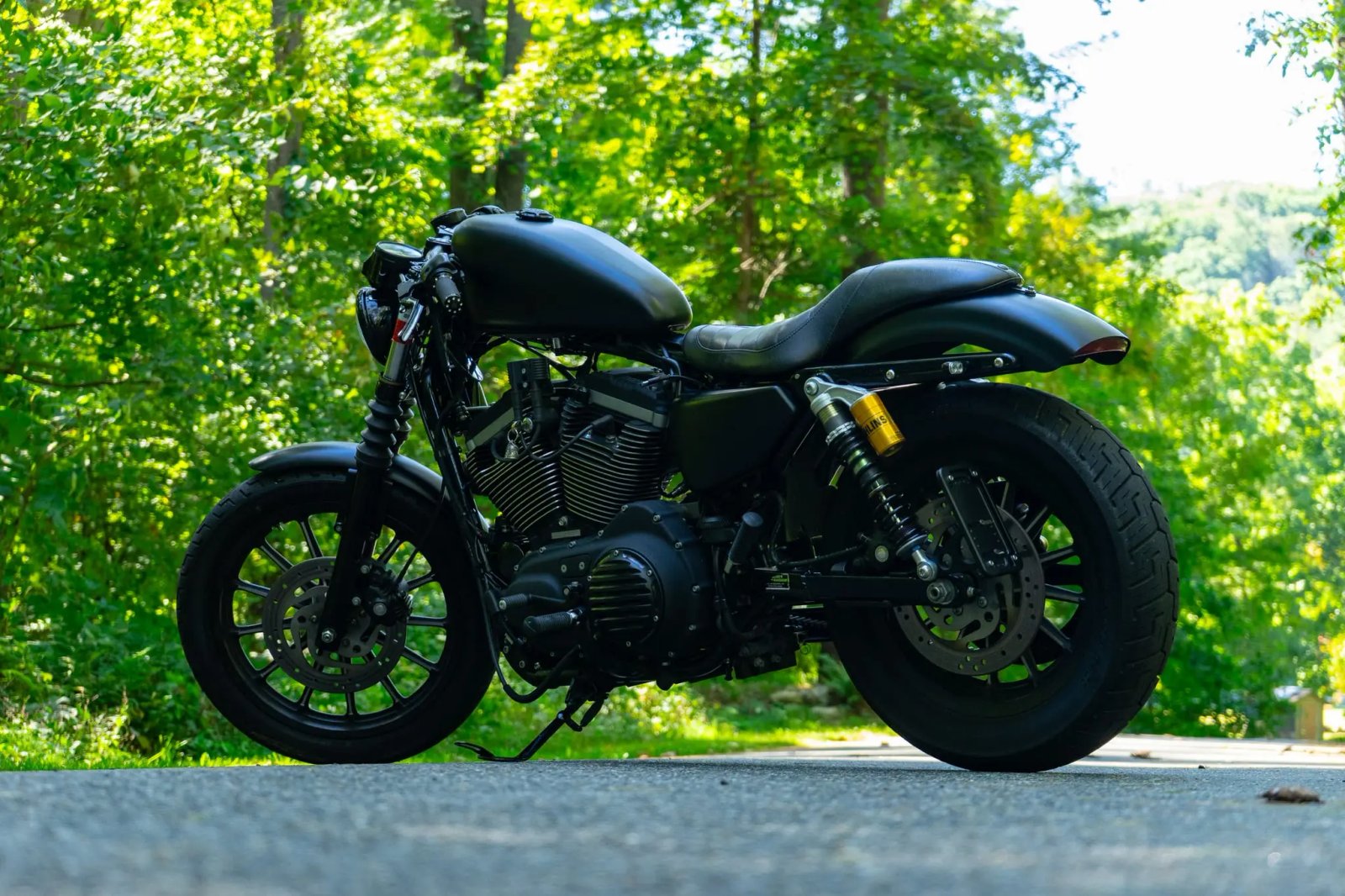 Modified 2009 Harley-Davidson Sportster Iron 883 photo 2