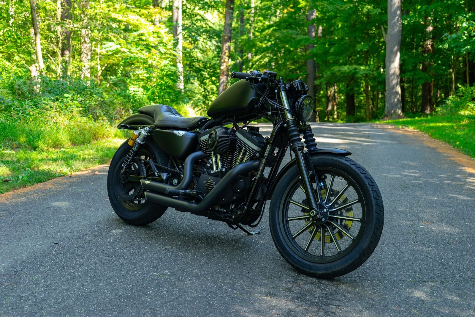 Modified 2009 Harley-Davidson Sportster Iron 883 photo 3