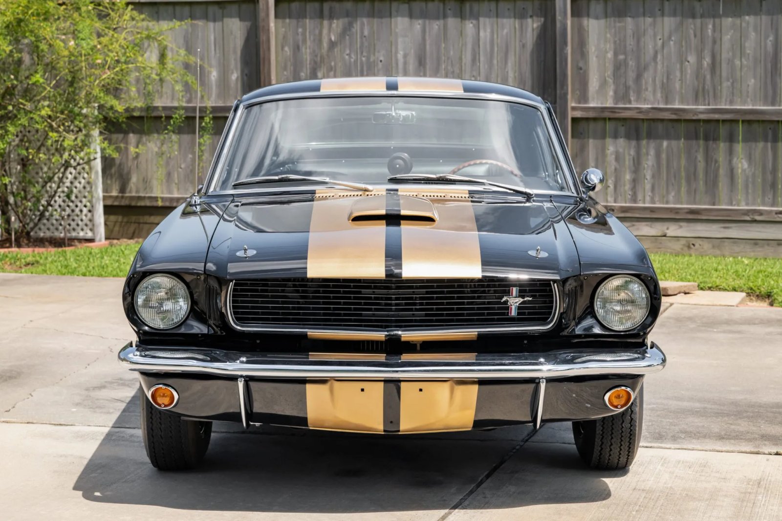 27-Years-Owned 1966 Shelby Mustang GT350H photo 3
